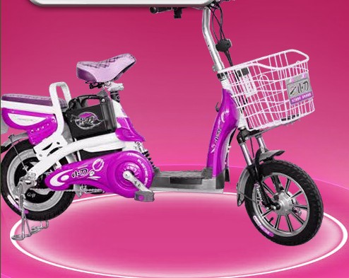 Step-Through Frame Electric Bicycle