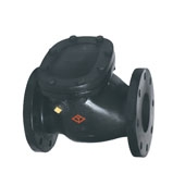 ANSI 125 Check Valve