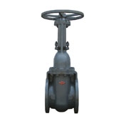 ANSI 125 Rising Stem Gate Valve