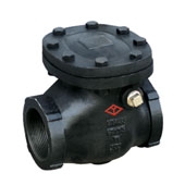 ANSI 125 Screw Type Check Valve