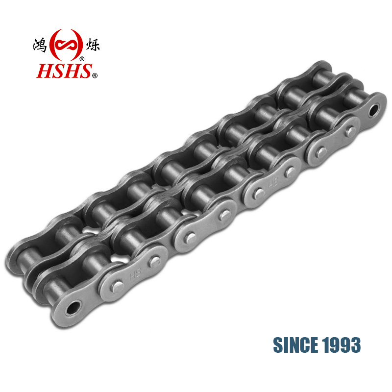 Double Strand Roller Chain