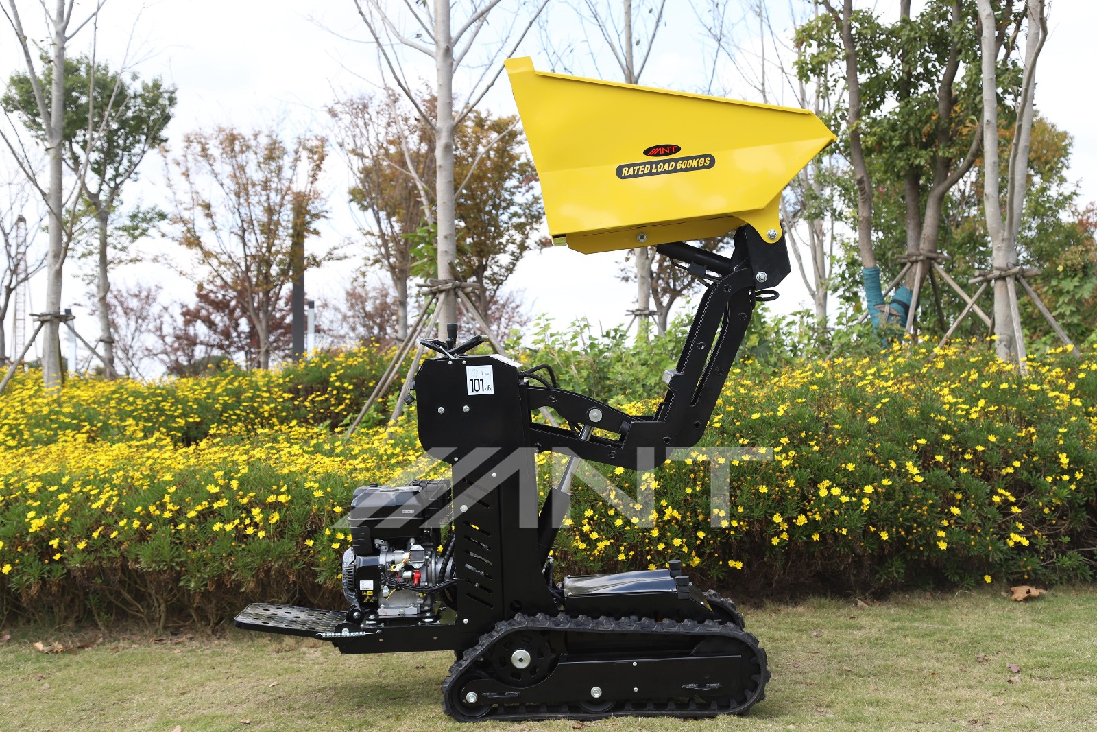 Ant Mini Dumper Power Barrow Hydraulic Transmission Truck Crawler BY600L - Image 3
