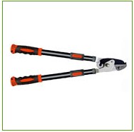 Anvil Loppers for Tree Pruning