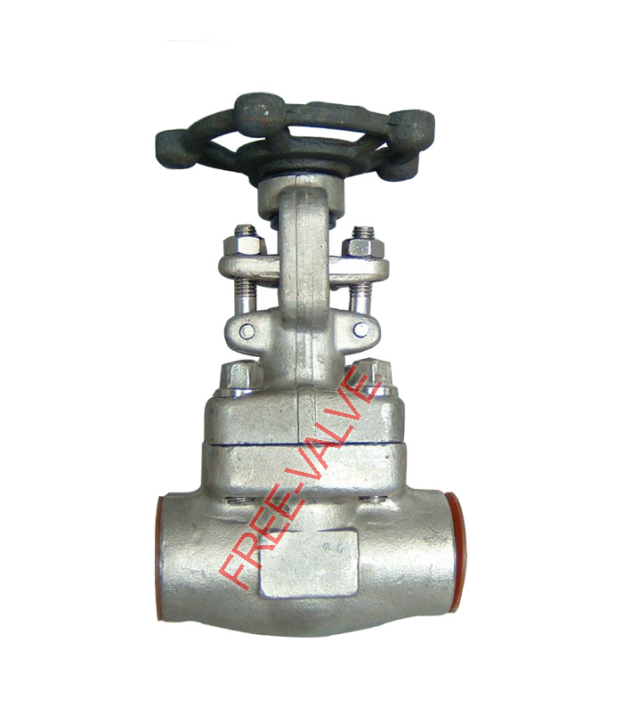 Forged Steel Globe Valve API 602