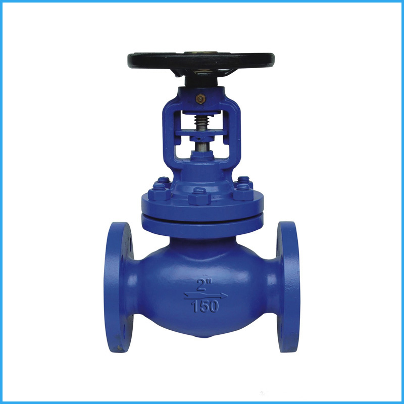 Bellows Globe Valve, API Standard, 300lb