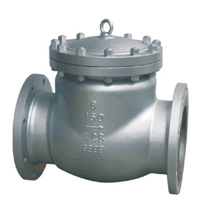 Swing Check Valve