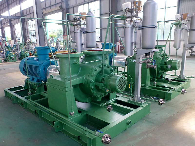 API610 BB2 Process Pump - Image 3