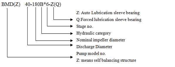 API610 BB5 Pump Nomenclature and Model Coding