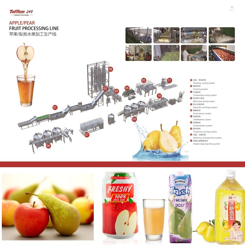 Apple & Pear Processing Line - Image 3