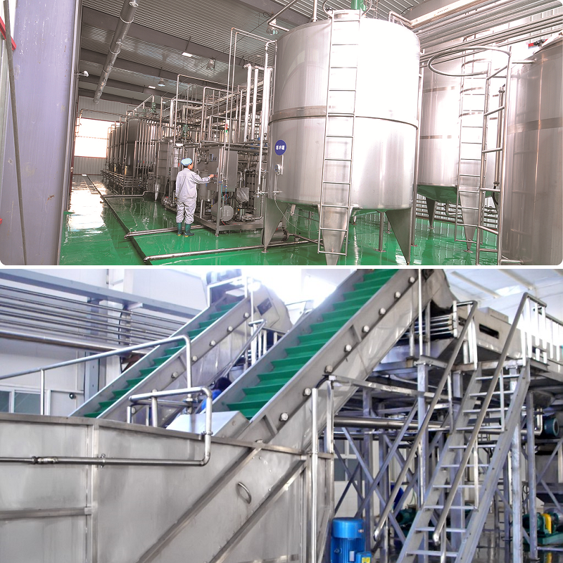 Juice Extractors