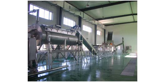 Automated Continuous Processing System