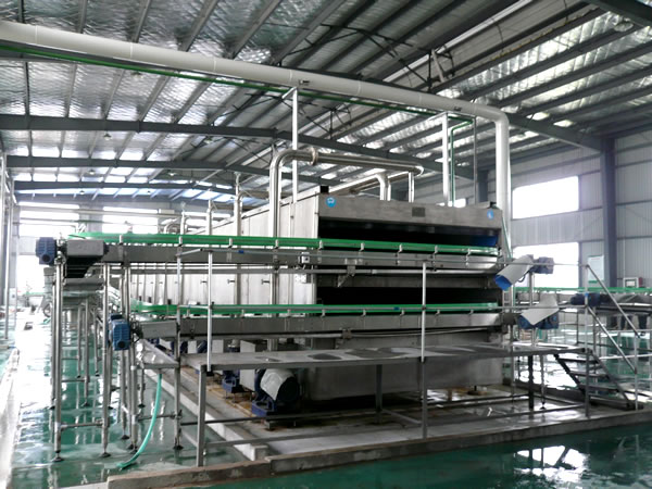 Automated Production Assembly Line