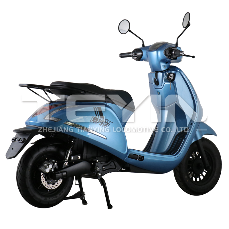 Rear view showing disc brakes and cargo rack
