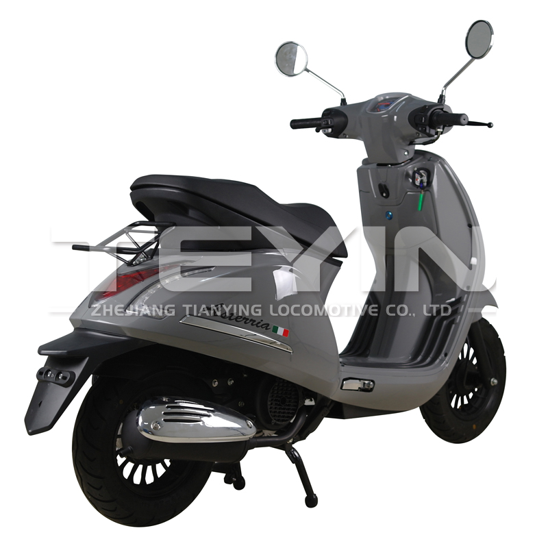 Rear view showing the luggage rack and tail light