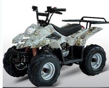 All-Terrain Vehicle for Recreational Use