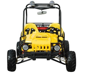 Recreational Off-Road Vehicle with Roll Cage