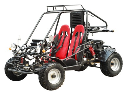 250cc Two-Seat Off-Road Go-Kart