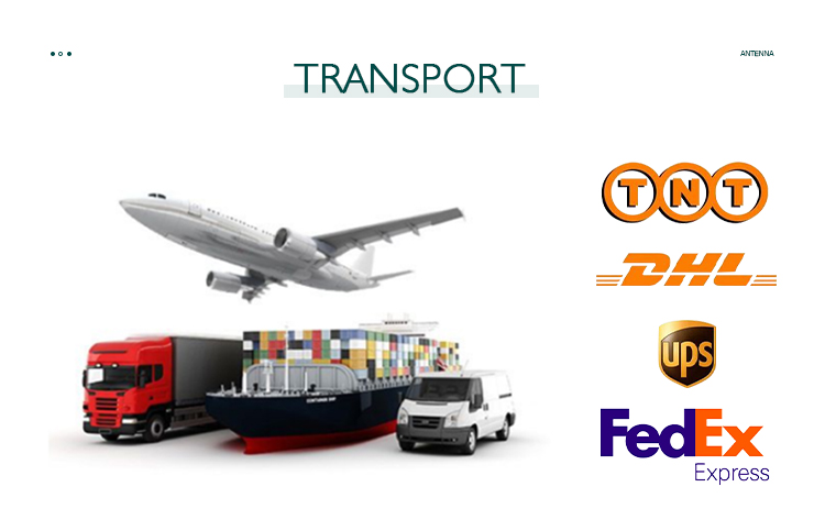 Global shipping and logistics options