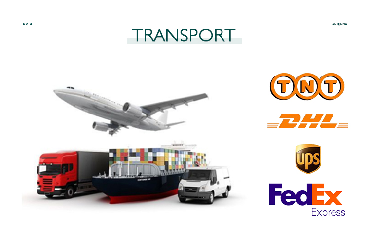 Global shipping and logistics options