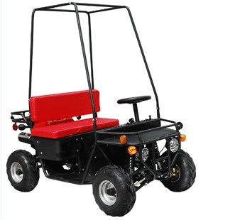 All-Terrain Utility Vehicle