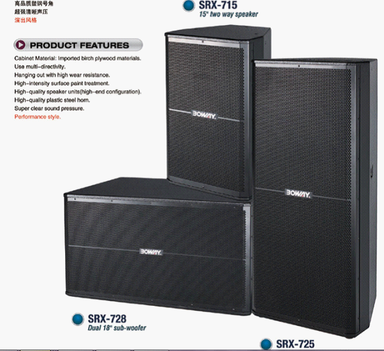 Professional Audio Speaker System with Dual Subwoofer