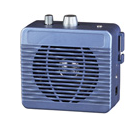 Portable Audio Amplifier with Clip
