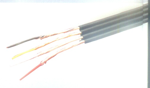Audio and Video Signal Cable