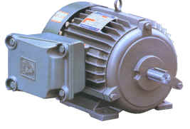Industrial Three-Phase Induction Motor