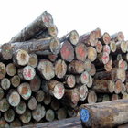 Timber Raw Materials