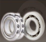 Automotive Radial Ball Bearing