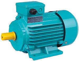Three-Phase Induction Motor