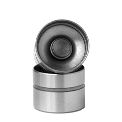 Hydraulic Valve Lifters