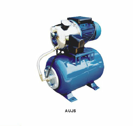 AUTO SERIES SELF-PERIPHERAL PUMP - Image 2