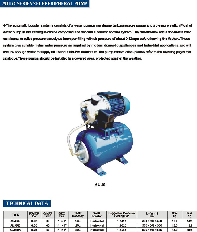 Self-Priming Peripheral Water Pump