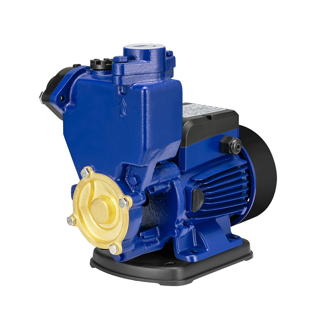 Automatic AC 220v vortex clean water pressure booster pump for home - Image 2