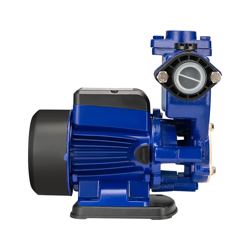 220V AC Vortex Water Pressure Booster Pump