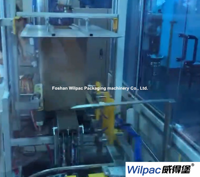 Automatic Carton Forming and Sealing Machine