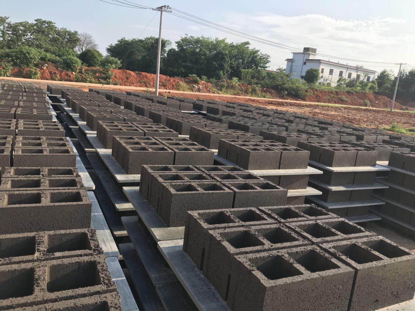 Freshly manufactured concrete hollow blocks
