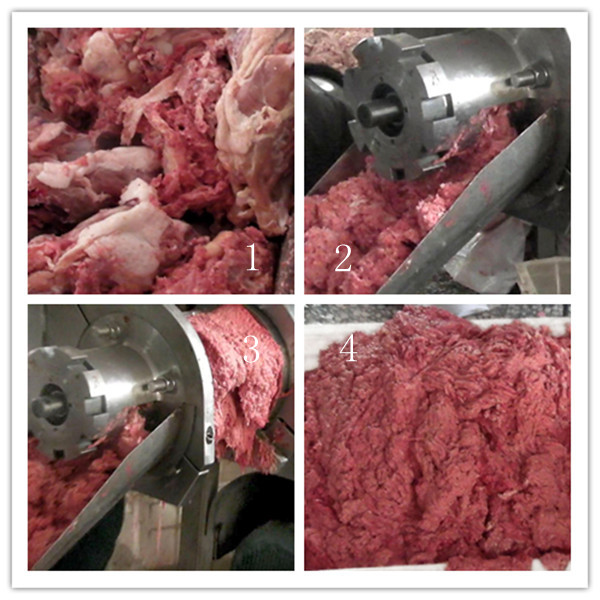 Automatic high quality poultry meat separator - Image 2