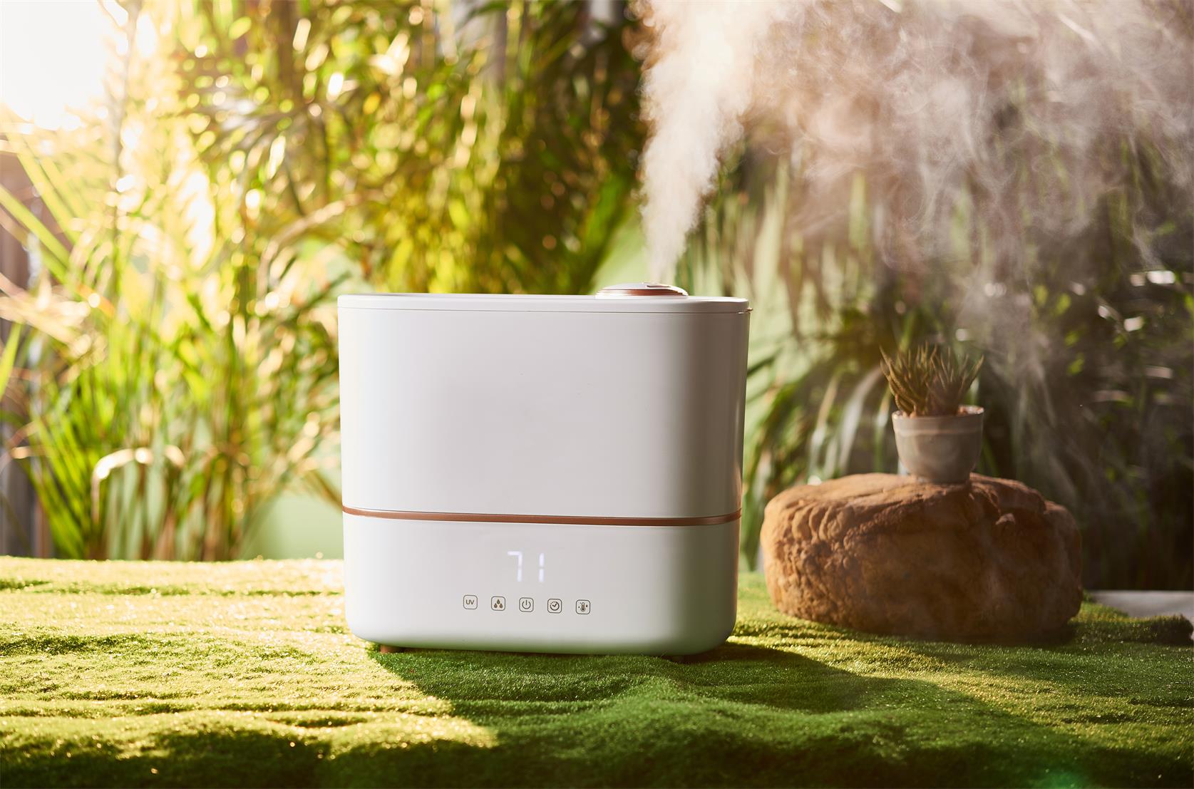 Digital Display Humidifier for Indoor Air Quality