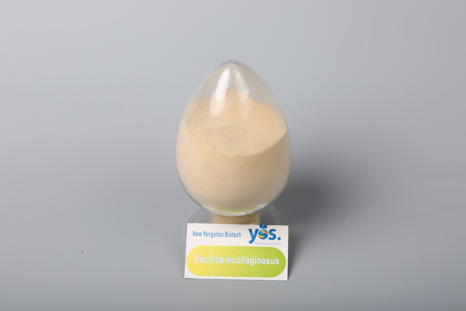 Bacillus Mucilaginosus Biofertilizer