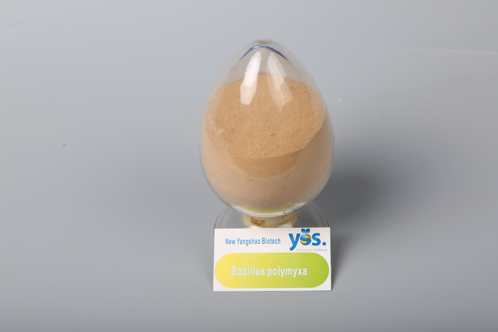 Bacillus polymyxa Biofertilizer