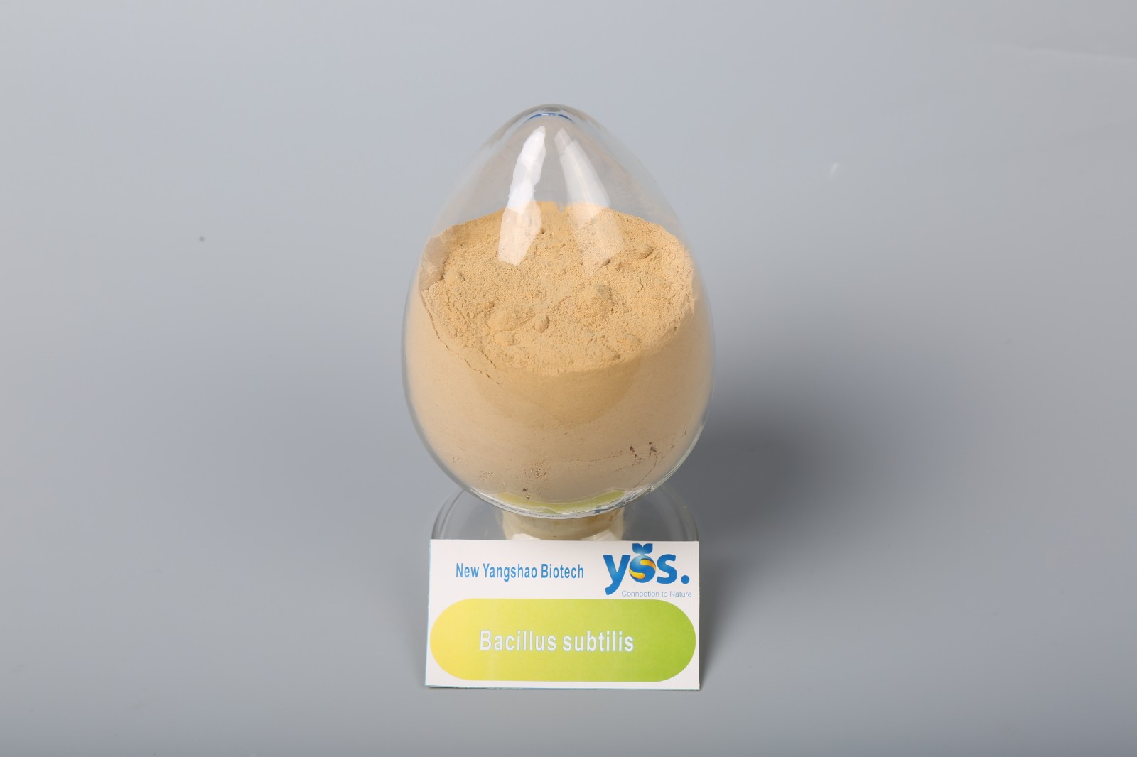 Bacillus Subtilis Biofertilizer