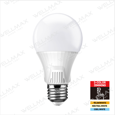 Segmented Color LED Bulb