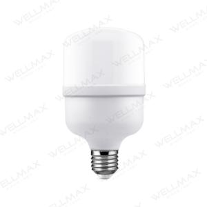 Multiple LED bulb shapes