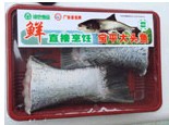 Fresh Bighead Carp Fish