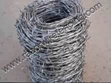 Barbed Wire - Image 3