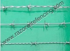 Barbed Wire - Image 2
