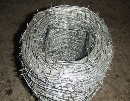 Galvanized Barbed Wire for Fencing