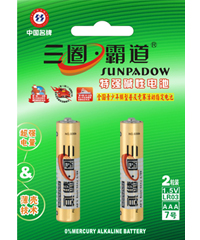 AAA Alkaline Battery LR03 1.5V